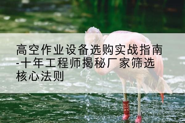碧江剪叉式升降机厂家-高空作业设备选购实战指南-十年工程师揭秘厂家筛选核心法则