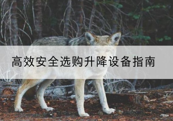 碧江升降货梯厂家推荐-*安全选购升降设备指南