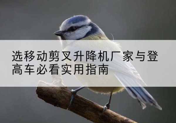 碧江电动升降机厂家-选移动剪叉升降机厂家与登高车必看实用指南