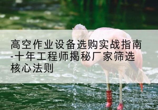 碧江剪叉式升降机厂家-高空作业设备选购实战指南-十年工程师揭秘厂家筛选核心法则